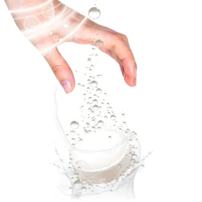 echalosolo echalosolo